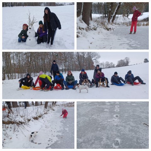 in nature - who can we meet in winter 1